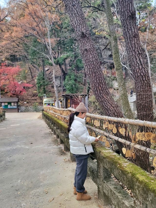 한적하게 거닐기 좋은 아름다운 홍룡사🍂