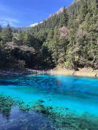 人間仙境中的童話世界-九寨溝🏞️