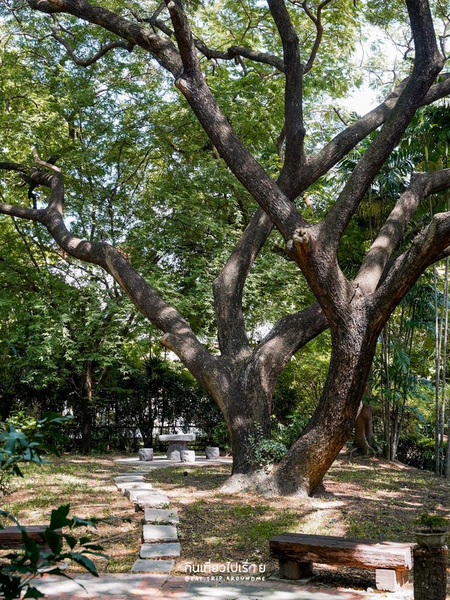 🌳🍵TOKIZEN Farm & Cafe คาเฟ่ร่มรื่นย่านบางขุนนนท์