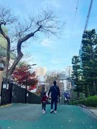 最美的風景，就是跟家人逛的秋葉🍂