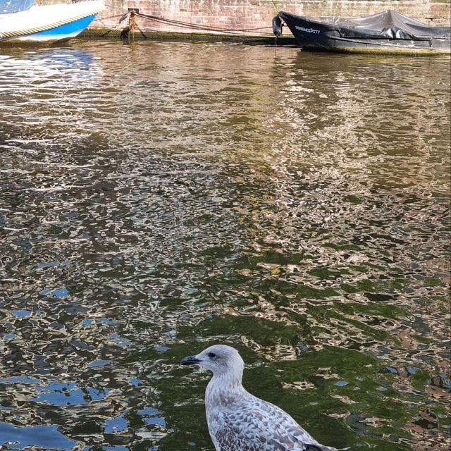 Summer chillin' in Amsterdam