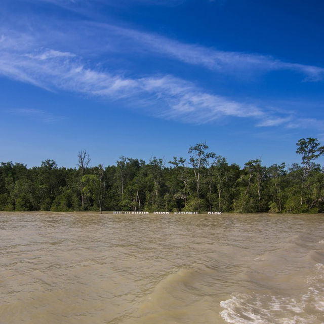 Coastal Adventure on a Boat Ride at Kukup