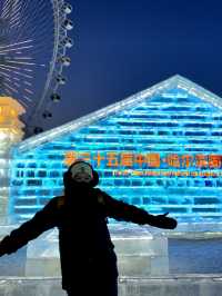 Harbin Ice and Snow Festival❄️