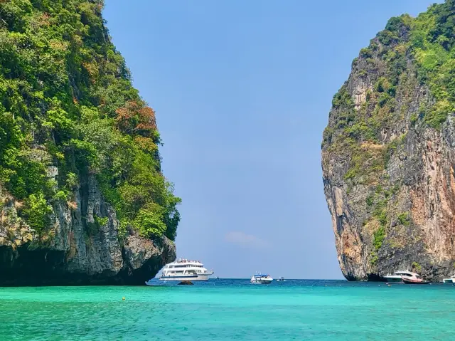 Maya “The Beach” 🏝️ 