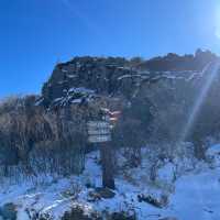 영남알프스 8봉 신불산 영축산 최단코스, 눈 산행