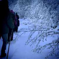 Alaska hike in Winter 🥶💪🥳