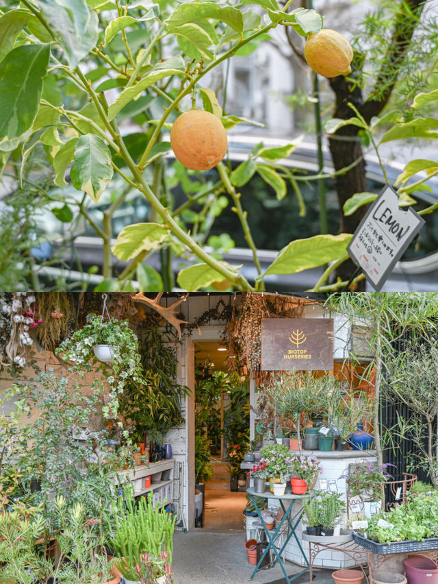 【白金台】ここ知ってる？ランチと絶品スイーツがいただける自然豊かなお洒落カフェ☕️🌿 
