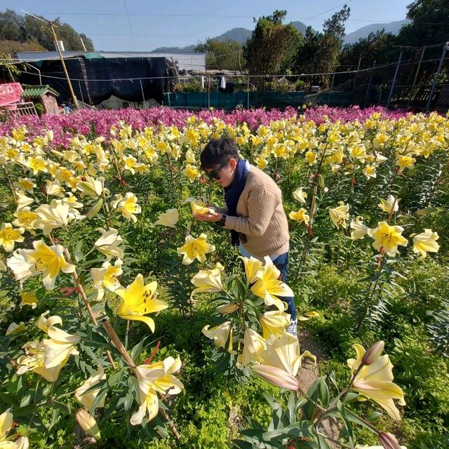 Live Life in Full Bloom 🌺❤️