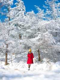 겨을 눈꽃여행하면 빼놓을 수 없는 만항재🗻