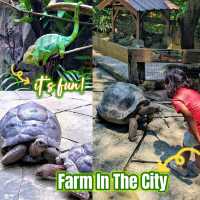 Marvelous Petting Zoo in the city!