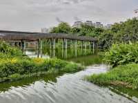 Sengkang Riverside Park