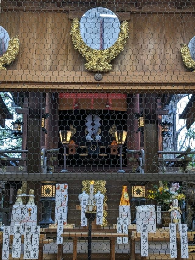 繁華街、唯一の神社【錦天満宮】の梅の花は、まだ八分咲きだけど綺麗だった