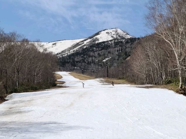 Tsugaike Mountain Resort