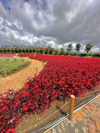 Fresh Garden at Dalat Vietnam 