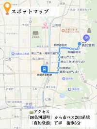 椿だらけのお寺を紹介💡※近隣スポット情報付