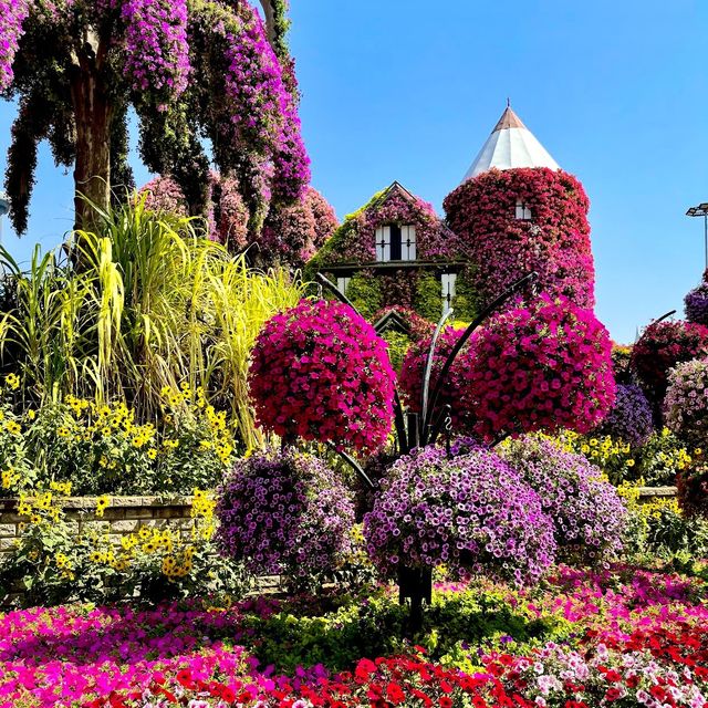 Stunning garden in Dubai