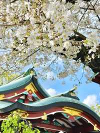 【居木神社/東京都】花散る桜吹雪が美しい神社