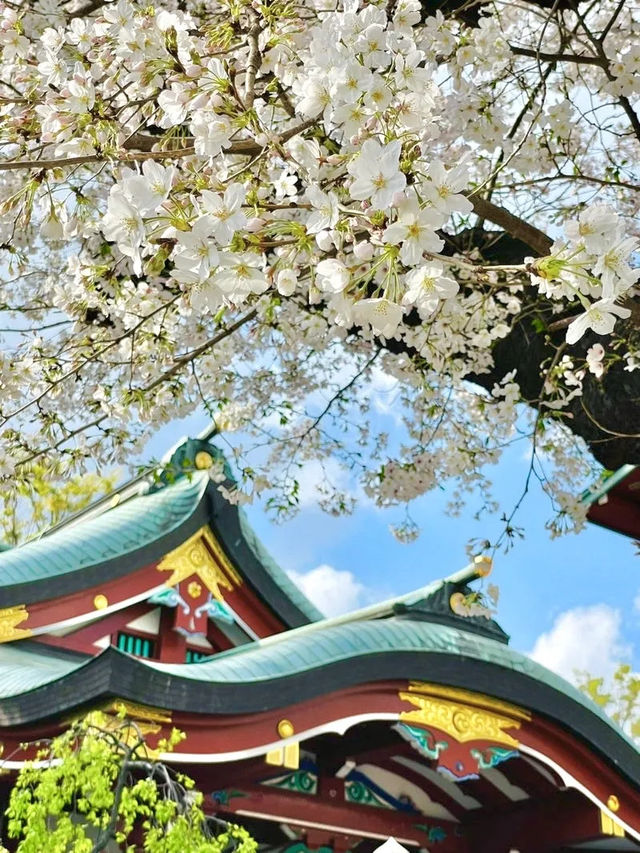 【居木神社/東京都】花散る桜吹雪が美しい神社