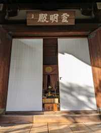 仁和寺の庭や池を眺めるていると、神社とは、また違う…寺院独特の荘厳な美しさを感じる
