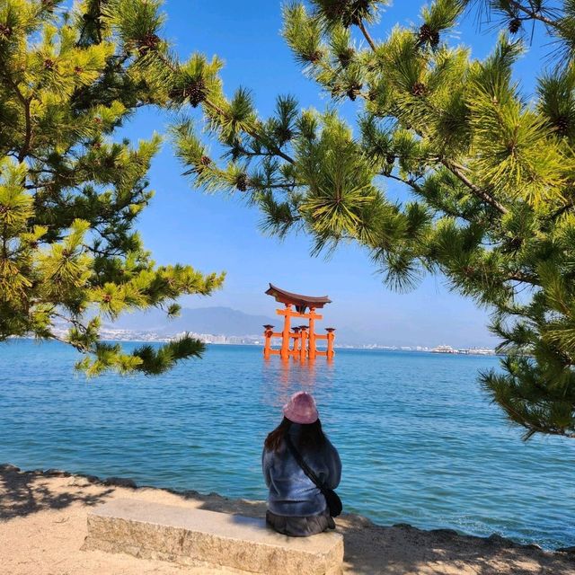 일본 구석구석 여행하기! 일본 소도시여행, 미야지마여행