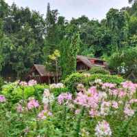 Flora Creek