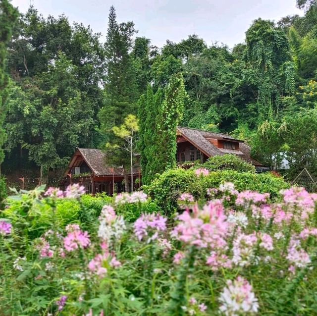 Flora Creek