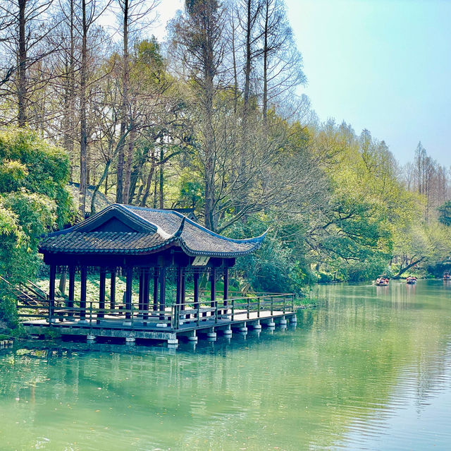 Blossoms' Passage: Yuxiu's Serenity