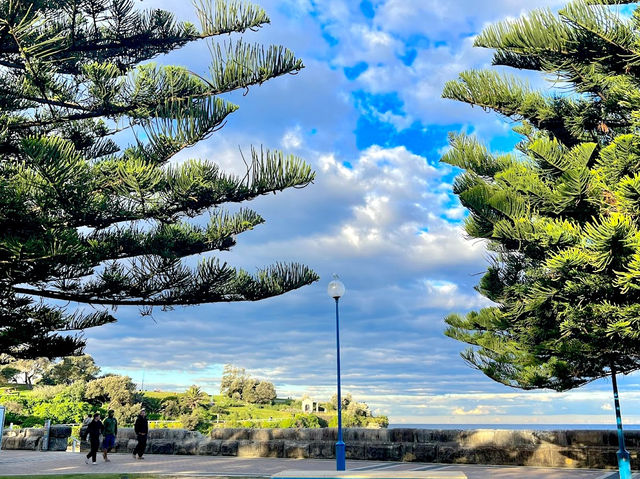 A popular beach in Sydney