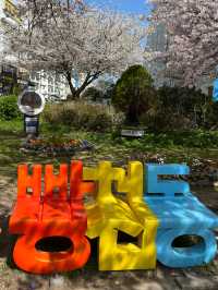부산 벚꽃명소