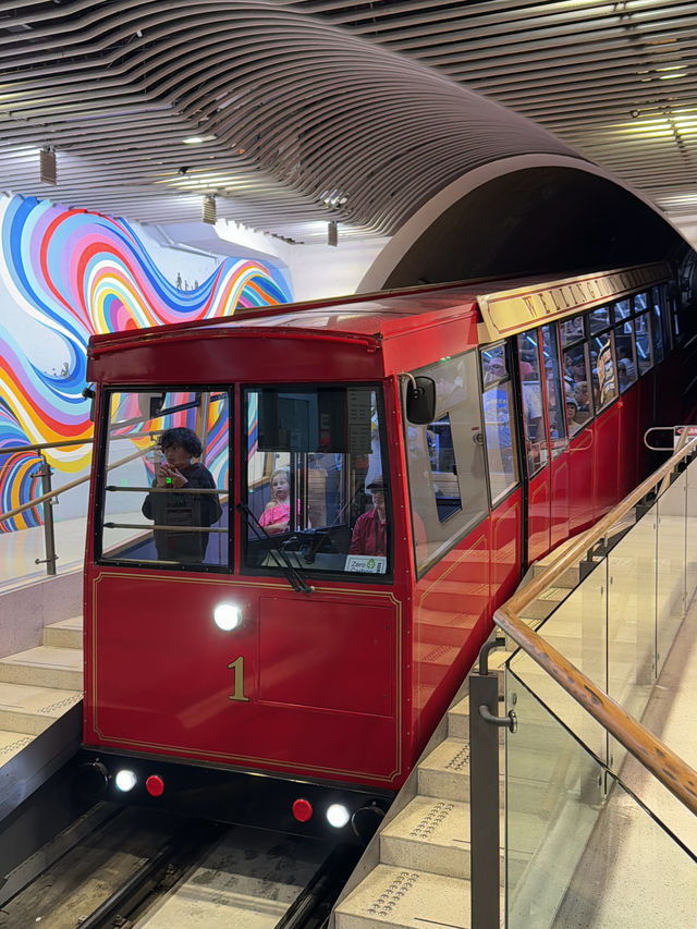 뉴질랜드 수도 웰링턴! 유명한 케이블카 Cable Car Museum