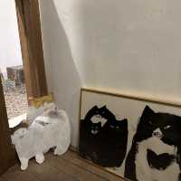 말차에 빠진 고양이 청주 화진다실