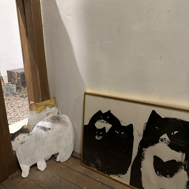 말차에 빠진 고양이 청주 화진다실