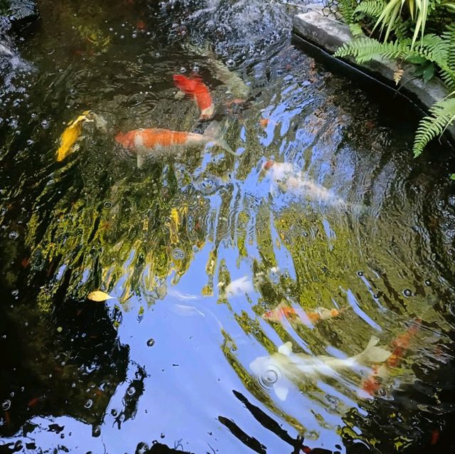 เฌอ คาเฟ่ คาเฟ่ลับในเมืองบุรีรัมย์