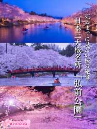 【青森・桜】その美しさ悶絶級🤩「やっば！えぐ！」しか出てこなくなる絶景🌸※アクセス攻略付き