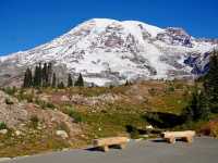 Hiking the Majestic Mount Rainier