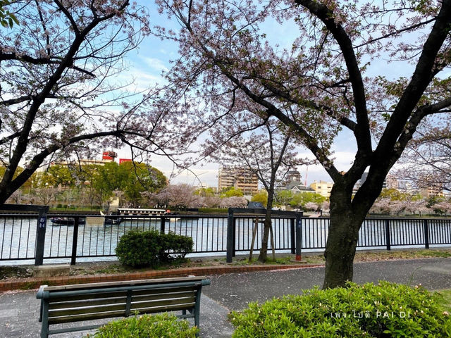 Kema Sakuranomiya Park