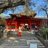 【世界遺産】春日山原始林　〜春日山遊歩道