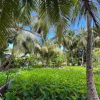 Unique nature park in idyllic island