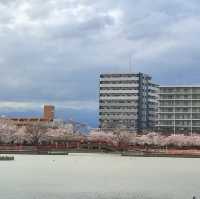 福島開成山公園：福島境內四座寶可夢公園之一，吉利蛋公園