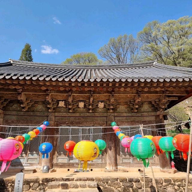 국내유일 하앙식구조의 극락전을 보다.