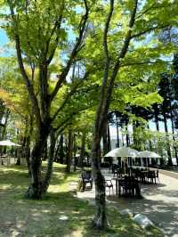 【神戸/海外のようなカフェ】360度の大自然に癒される、お洒落カフェが山の中にあった！！