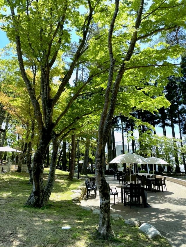 【神戸/海外のようなカフェ】360度の大自然に癒される、お洒落カフェが山の中にあった！！