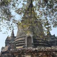 วัดพระศรีสรรเพชร