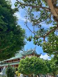 🇻🇳Surrounded by Beauty at Linh Ung Pagoda💙