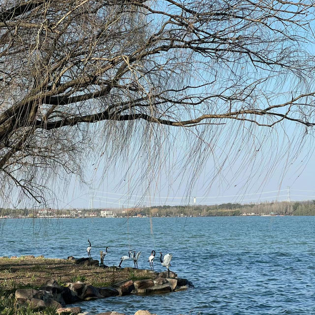 吉隆坡湖濱公園：湖光山色，宜人去處