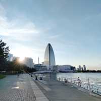 春の横浜旅行🌸今、横浜で行くべきおすすめスポット