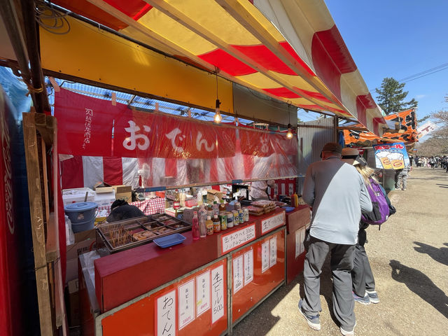 弘前公園櫻花適合春天遊玩