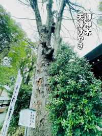 【東京・阿佐ヶ谷】日本でココだけ?!とってもかわいい御朱印とお守りが頂けるパワスポ🤍