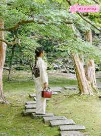 【兵庫県/出石】緑が美し過ぎる自然に囲まれたお寺