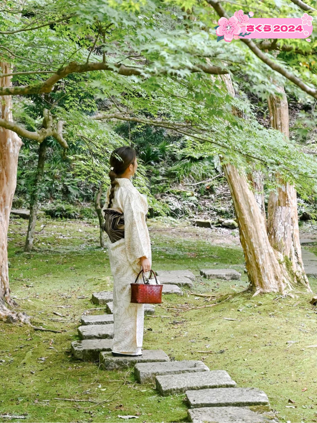 【兵庫県/出石】緑が美し過ぎる自然に囲まれたお寺